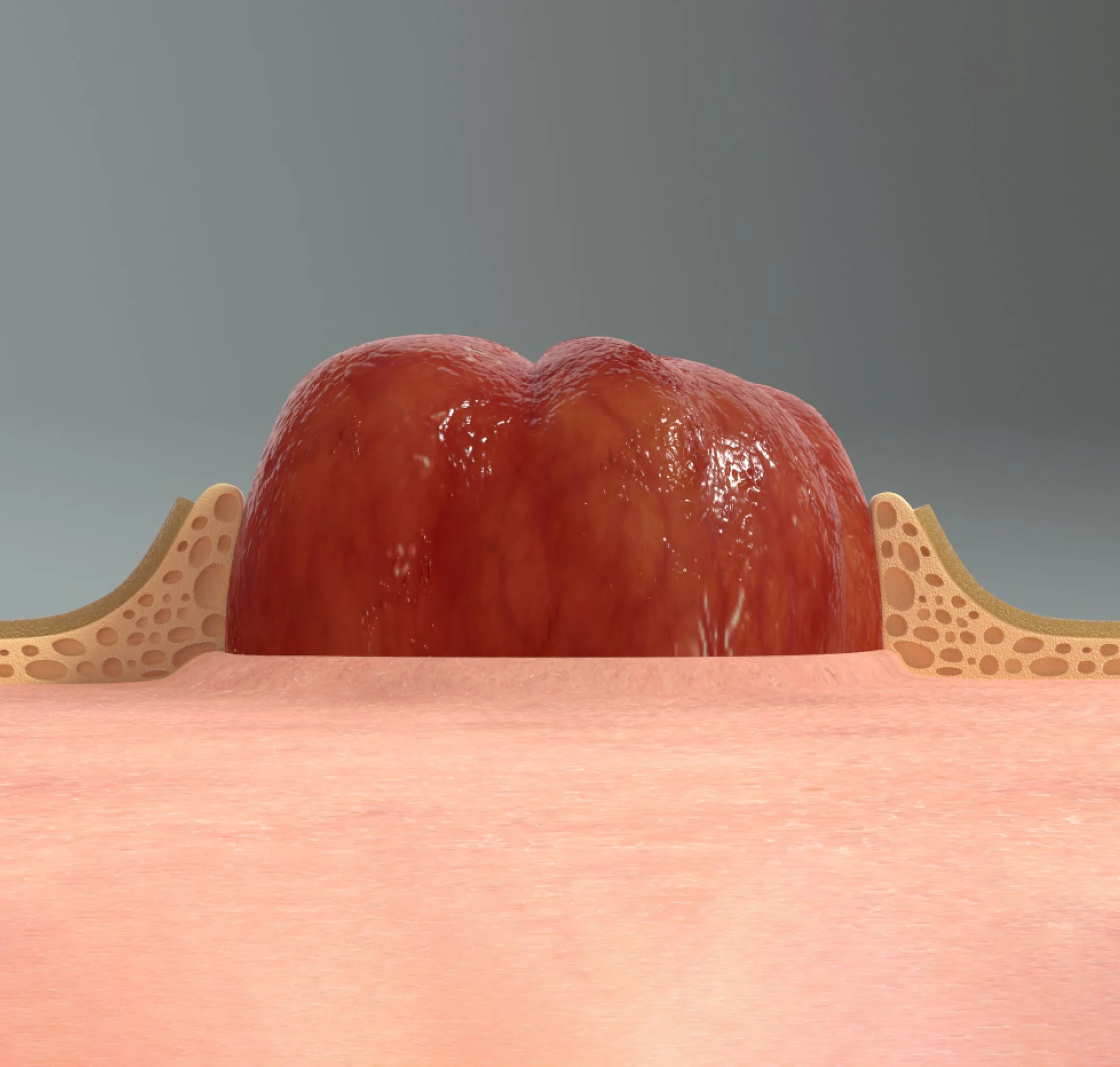 un gros plan d’un légume